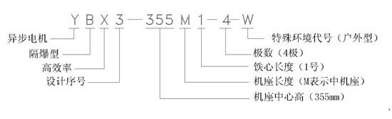 YBX3產(chǎn)品型號(hào)說明