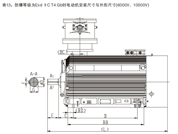 YBX3系列高效率高壓隔爆型三相異步電動機(jī)